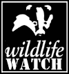 Wildlife Watch